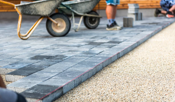 Best Driveway Paving Contractor  in Homosassa Springs, FL