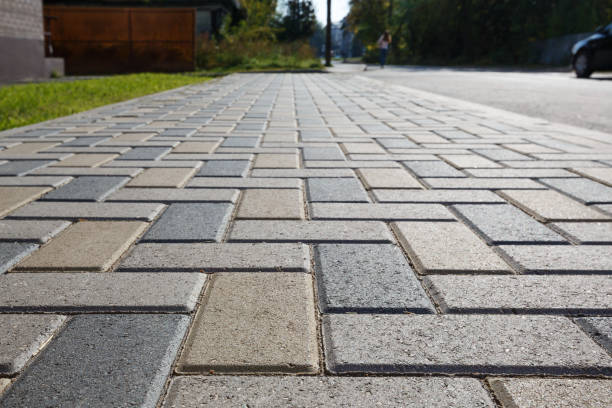 Best Custom Driveway Pavers  in Homosassa Springs, FL