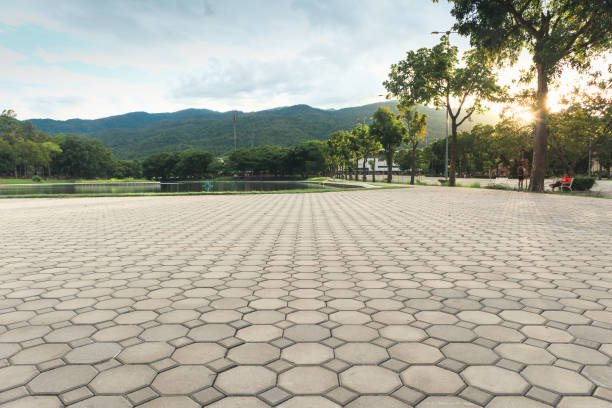 Best Driveway Pavers Near Me  in Homosassa Springs, FL