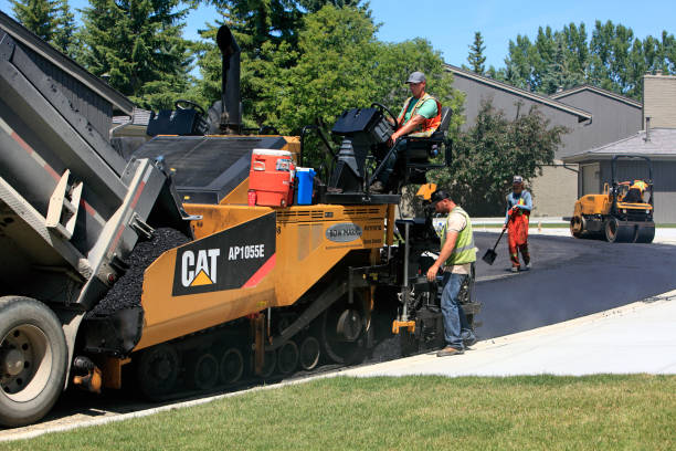 Best Driveway Pavers Near Me  in Homosassa Springs, FL